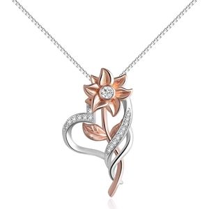 Beautiful heart necklace